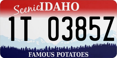 ID license plate 1T0385Z
