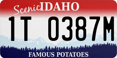 ID license plate 1T0387M