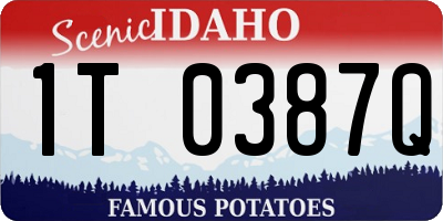 ID license plate 1T0387Q