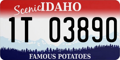 ID license plate 1T0389O