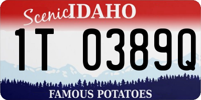 ID license plate 1T0389Q