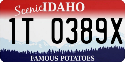 ID license plate 1T0389X