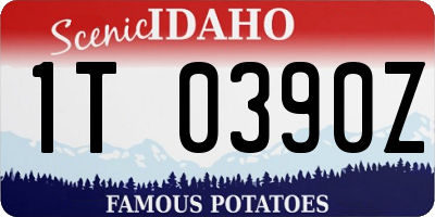 ID license plate 1T0390Z