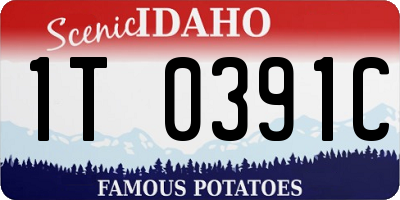 ID license plate 1T0391C