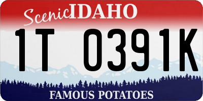 ID license plate 1T0391K