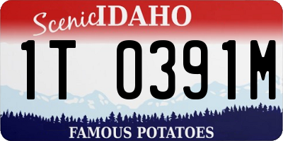 ID license plate 1T0391M