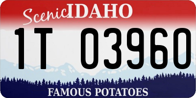 ID license plate 1T0396O
