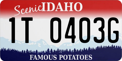 ID license plate 1T0403G
