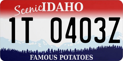 ID license plate 1T0403Z