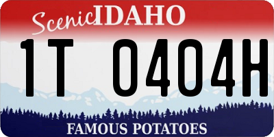 ID license plate 1T0404H