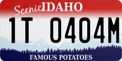 ID license plate 1T0404M
