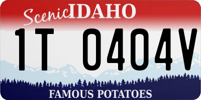 ID license plate 1T0404V