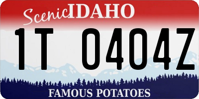 ID license plate 1T0404Z