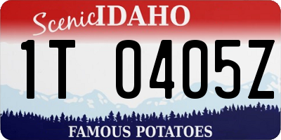 ID license plate 1T0405Z