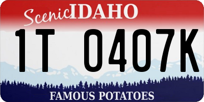 ID license plate 1T0407K