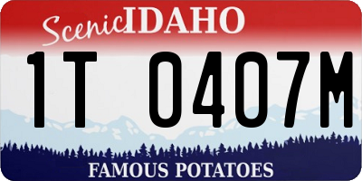 ID license plate 1T0407M