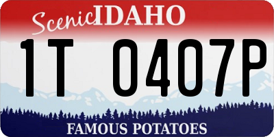 ID license plate 1T0407P