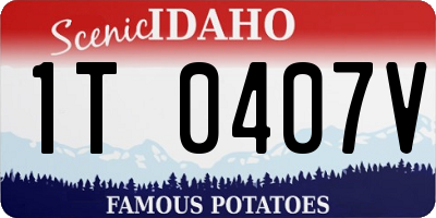 ID license plate 1T0407V