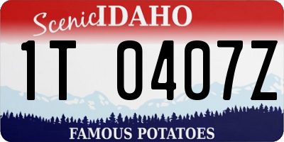 ID license plate 1T0407Z