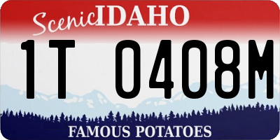 ID license plate 1T0408M