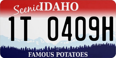 ID license plate 1T0409H