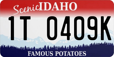 ID license plate 1T0409K