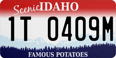 ID license plate 1T0409M