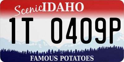 ID license plate 1T0409P
