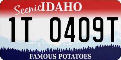ID license plate 1T0409T