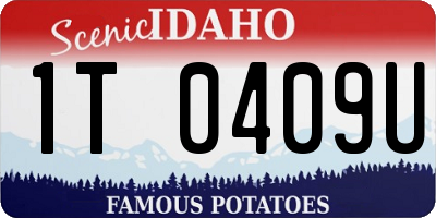 ID license plate 1T0409U