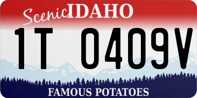 ID license plate 1T0409V
