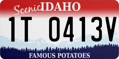 ID license plate 1T0413V