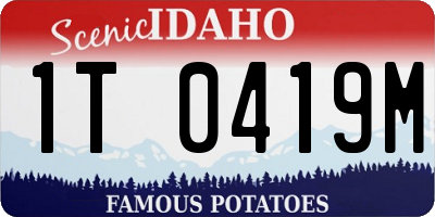 ID license plate 1T0419M
