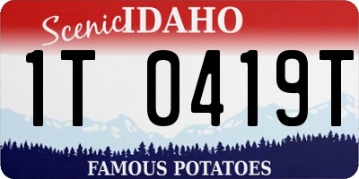 ID license plate 1T0419T
