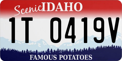 ID license plate 1T0419V