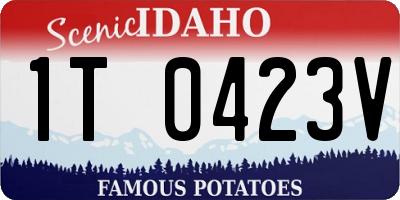 ID license plate 1T0423V