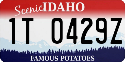 ID license plate 1T0429Z
