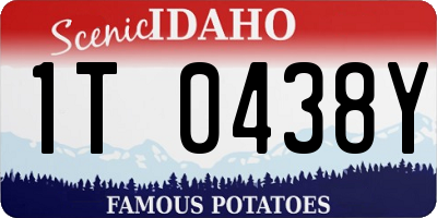 ID license plate 1T0438Y