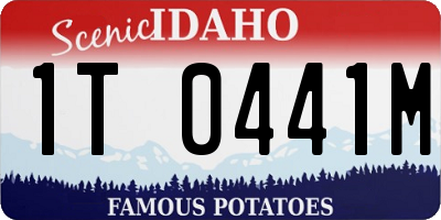 ID license plate 1T0441M