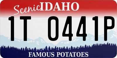 ID license plate 1T0441P
