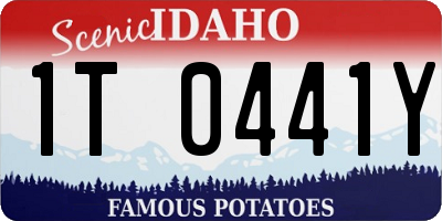 ID license plate 1T0441Y