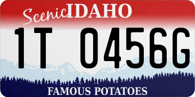 ID license plate 1T0456G