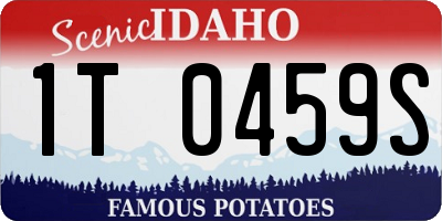 ID license plate 1T0459S