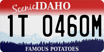 ID license plate 1T0460M