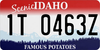 ID license plate 1T0463Z
