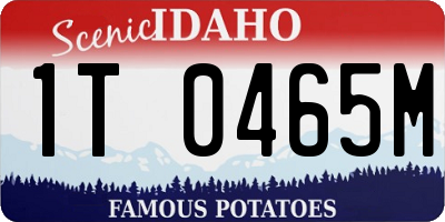 ID license plate 1T0465M