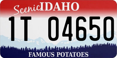ID license plate 1T0465O