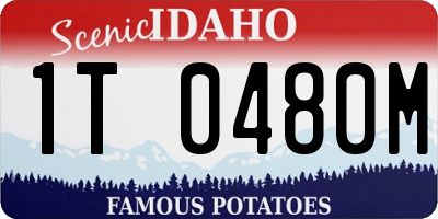 ID license plate 1T0480M
