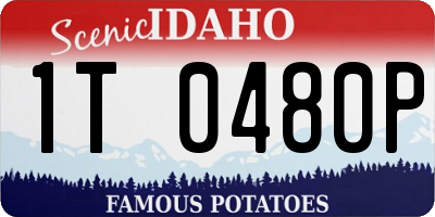 ID license plate 1T0480P