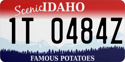ID license plate 1T0484Z
